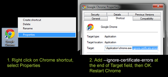 Chrome ignore certificate errors