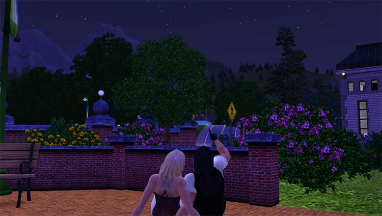 Retuned Attraction Mod Sims 3
