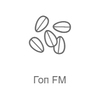 Радио Рекорд Гоп FM