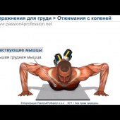 Тренировка_грудных_мышц_5
